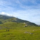 Up to the hill