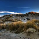 Frozen Dunes at Dusk IV
