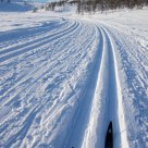 Cross Country Skiing