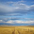 Into the Distance