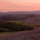 Tuscan Sunset