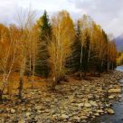 River side in autumn