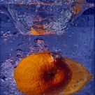 Orange Squash
