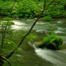Oirase Stream