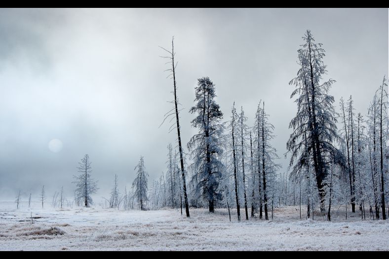 Clearing mist