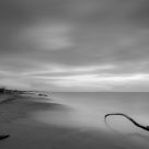 Monochrome Peace