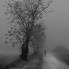 November Walk