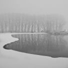 White velvet 1 Silence