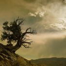 Capitol Reef Light