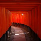 Senbon Torii