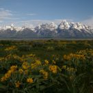 Grand Teton NP