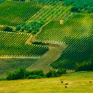 Toscana