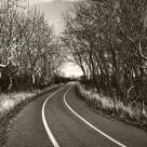 Lane