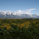 Grand Teton NP