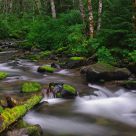 Still Creek