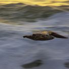 Above the Water