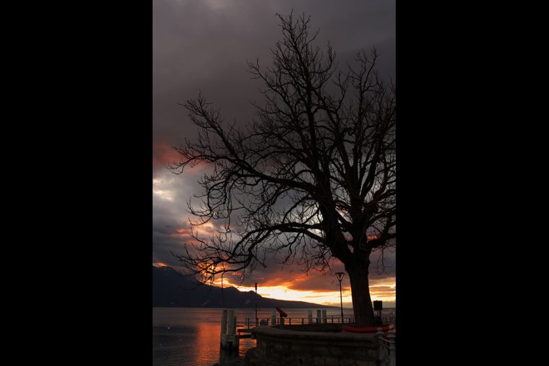 Vevey