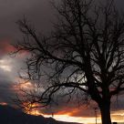 Vevey