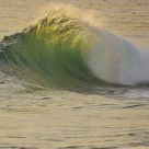 Curl In Time
