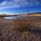 The low sun