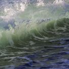 Splash Appeal