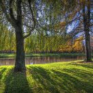 The enchanted lake