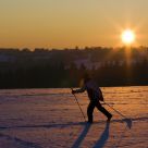 Cross-country skiing at sunset