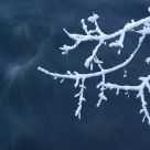 Stick, a cold one