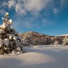Winter landscape