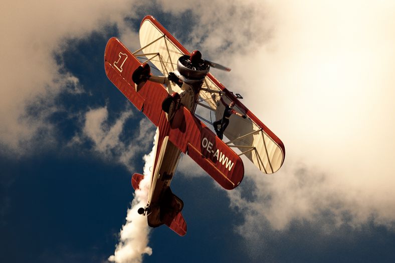 Wing Walker