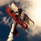 Wing Walker
