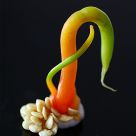 Sinuous pepper