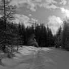 Alpes