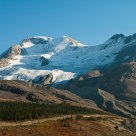 Icefield