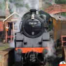 Coathland