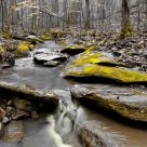 Winter Creek