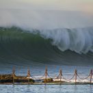 Force of Nature