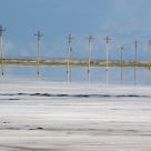 Wire Poles