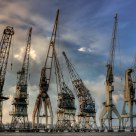 War of the cranes