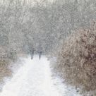 snow flurry