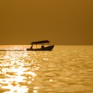 single boat