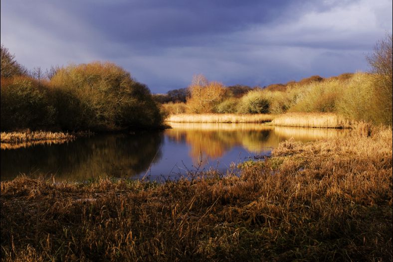 On Golden Pond