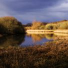 On Golden Pond