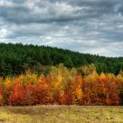 Autumn colors