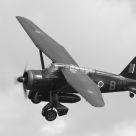 Westland Lysander
