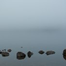 Fog
