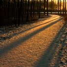 The Golden hour