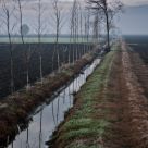 My land (nr1)