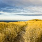 Sun Over The Dunes