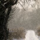 The Alley
